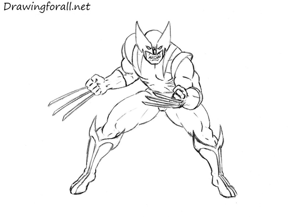 Wolverine Drawing Pic