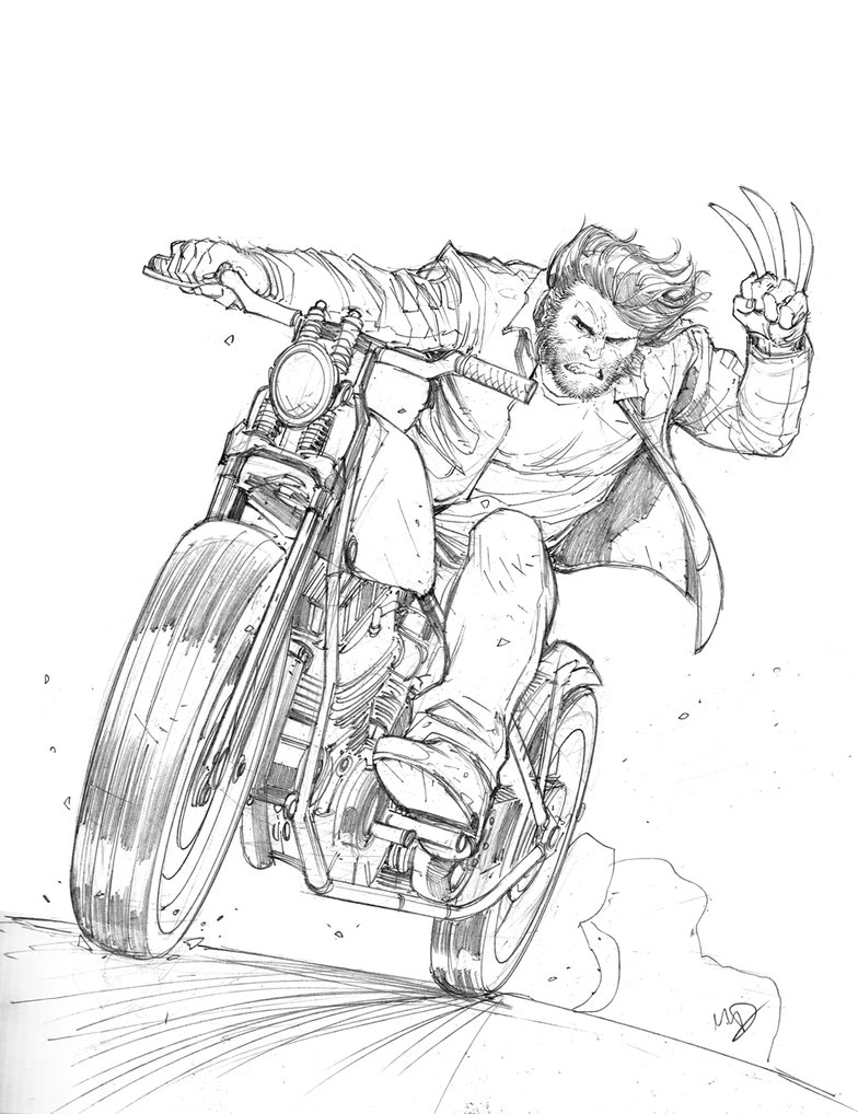 Wolverine Drawing Picture