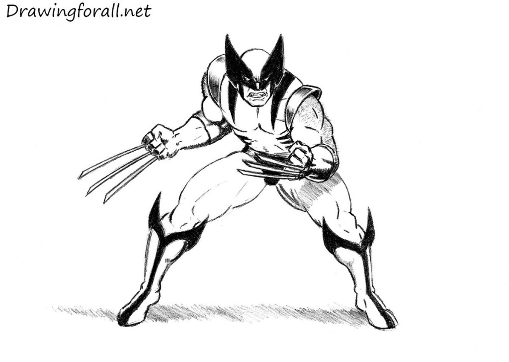 Wolverine Drawing