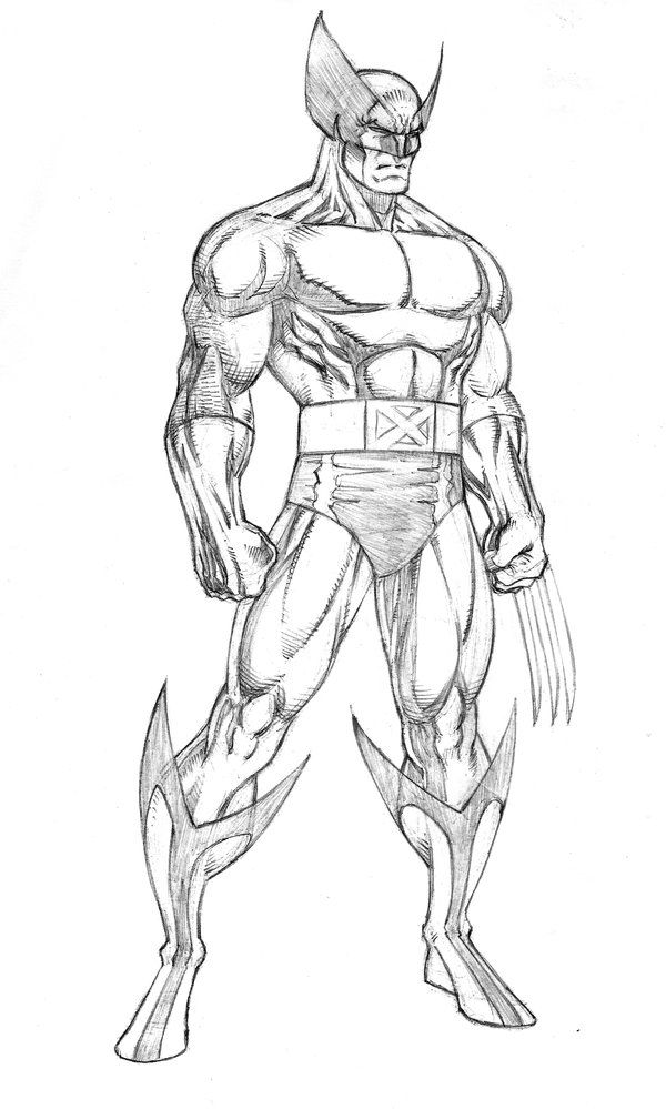 Wolverine Pic Drawing