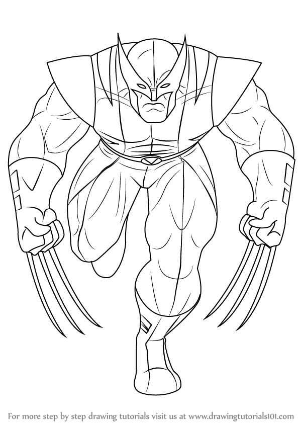 Learn How to Draw Wolverine from X-Men (X-Men) Step by Step : Drawing  Tutorials