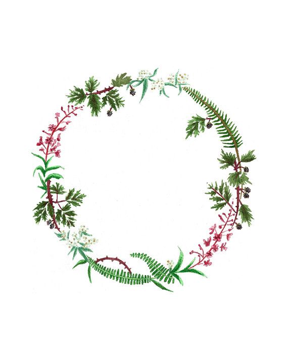 Wreath Picture Drawing