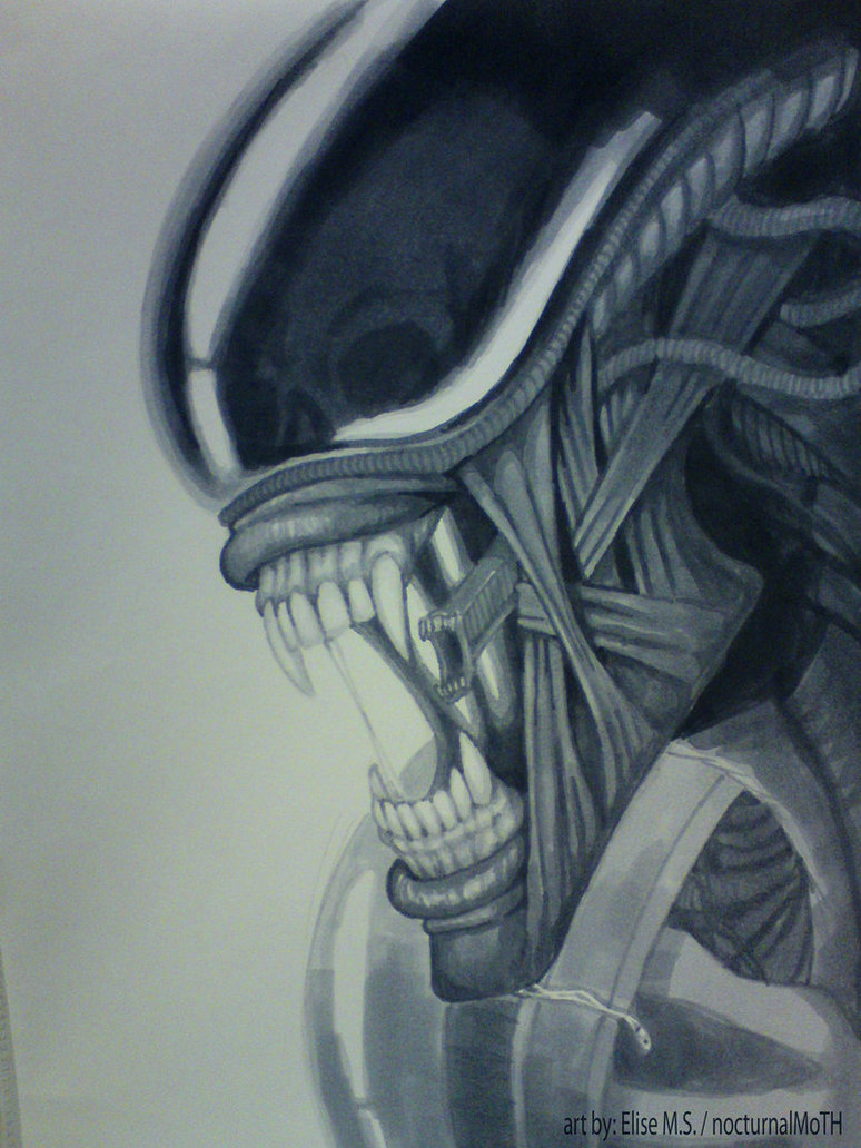 Xenomorph Head Amazing Drawing