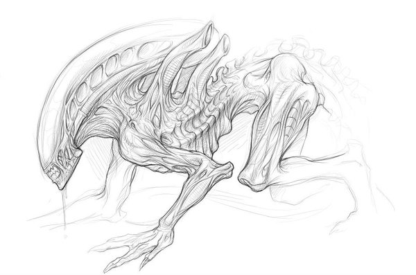 Xenomorph Head Beautiful Image Drawing