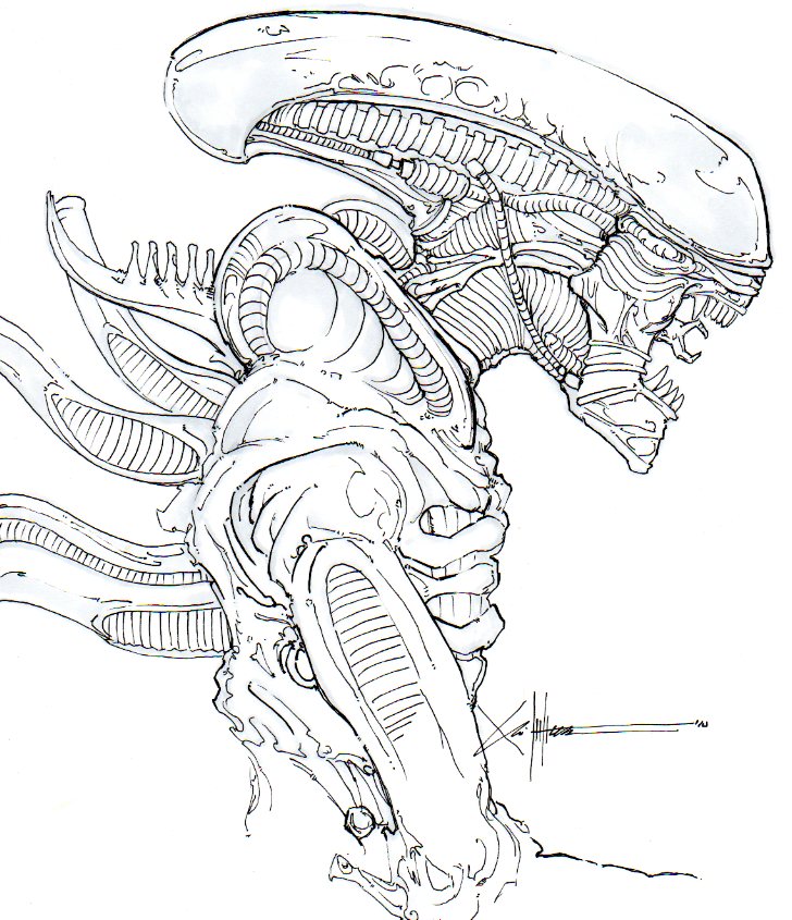 Xenomorph Head Best Drawing