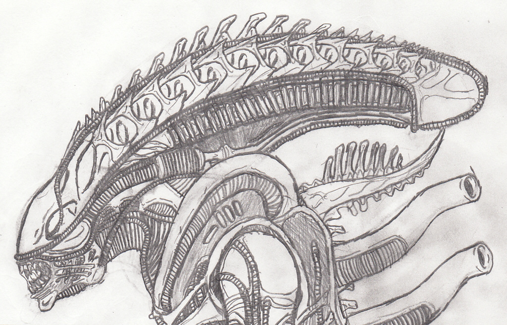 Xenomorph Head Drawing