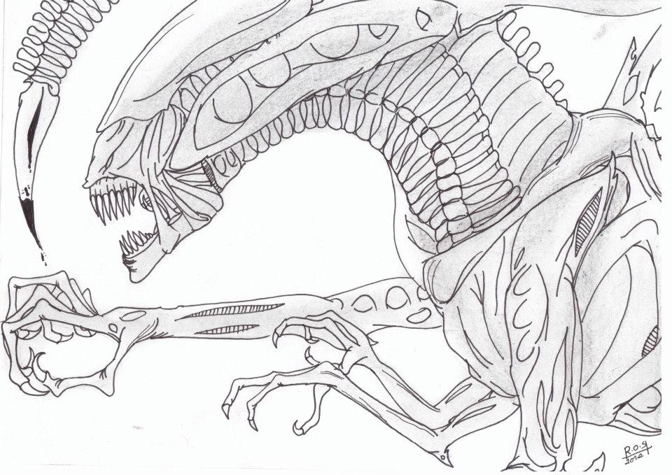 Xenomorph Head High-Quality Drawing