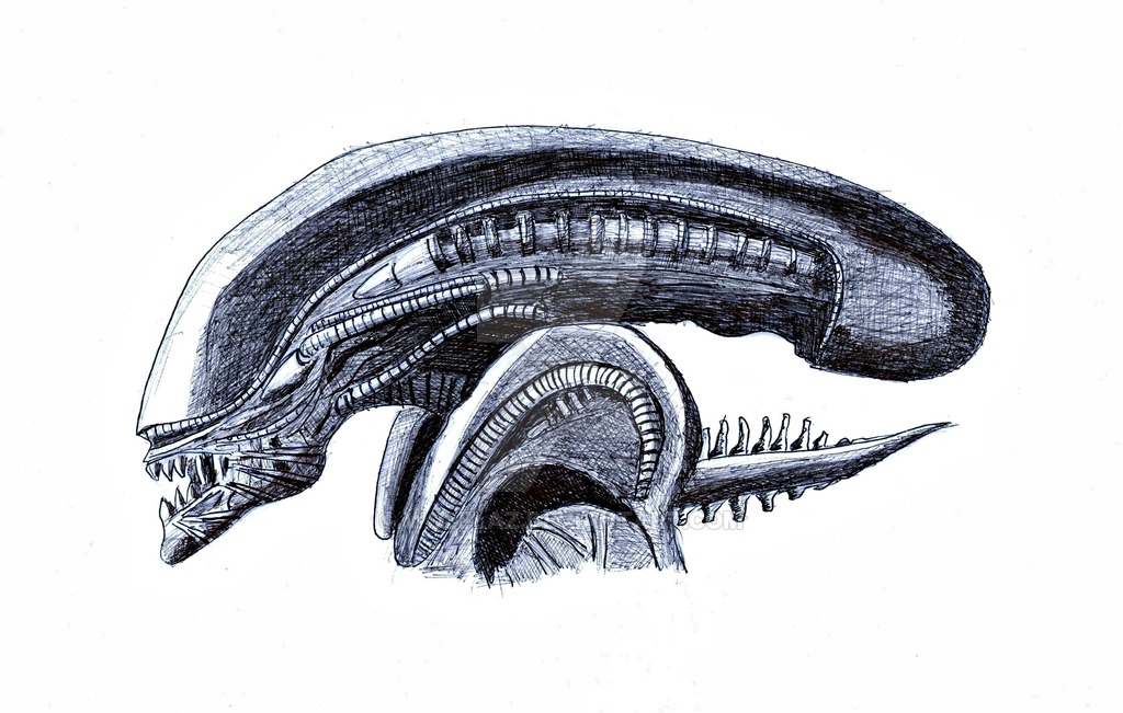 Xenomorph Head Image Drawing