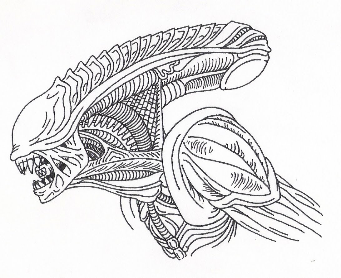 Xenomorph Head Picture Drawing