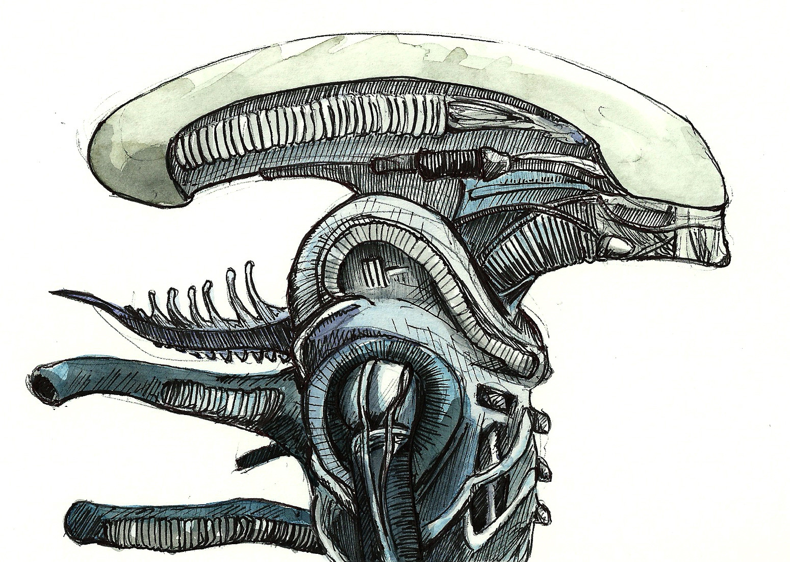 Xenomorph Head Sketch