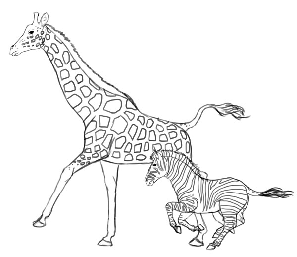 Zebra Photo Drawing