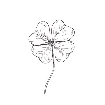4 Leaf Clover Drawing Picture