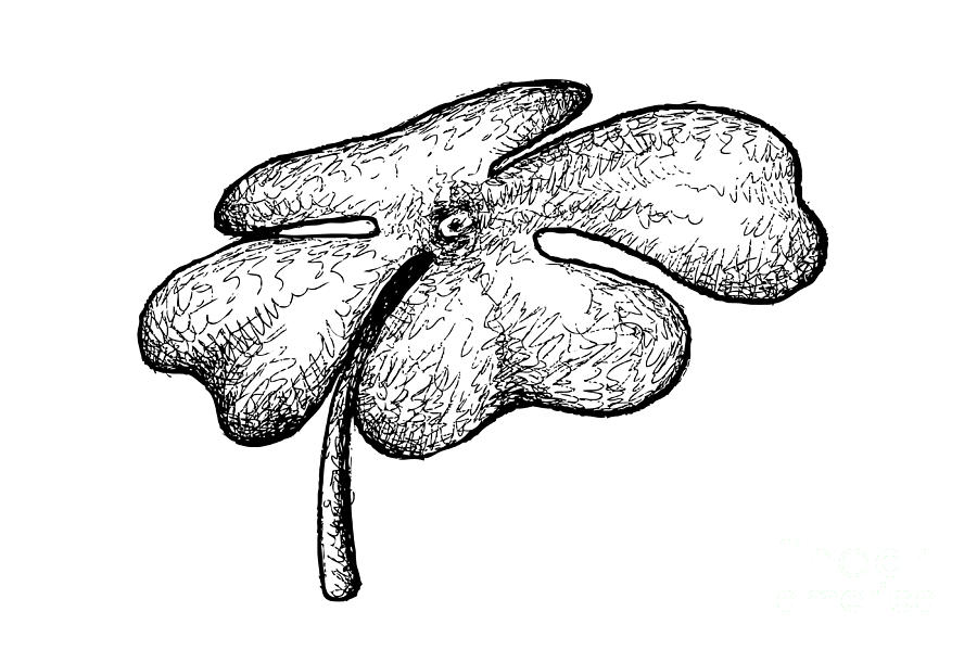 4 Leaf Clover Drawing Sketch