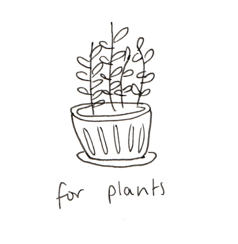 Aesthetic Plant Drawing Beautiful Art