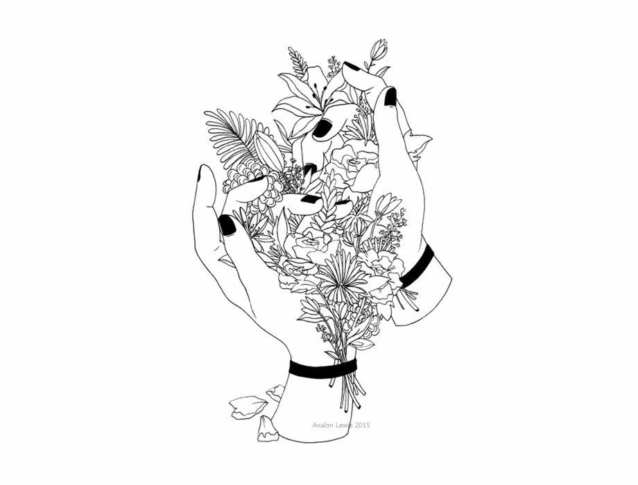 Aesthetic Plant Drawing Image