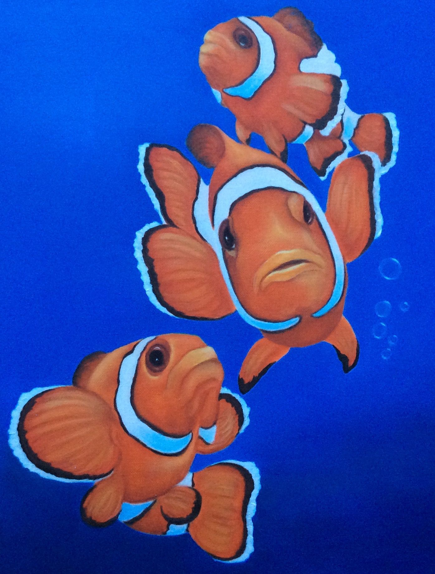 Clown Fish Drawing Art