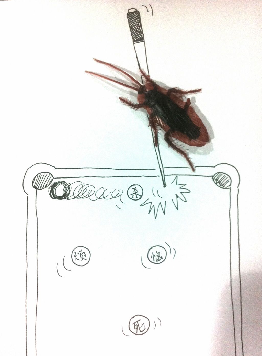 Cockroach Drawing High-Quality