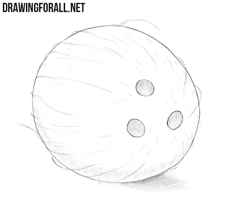 Coconut Drawing Picture