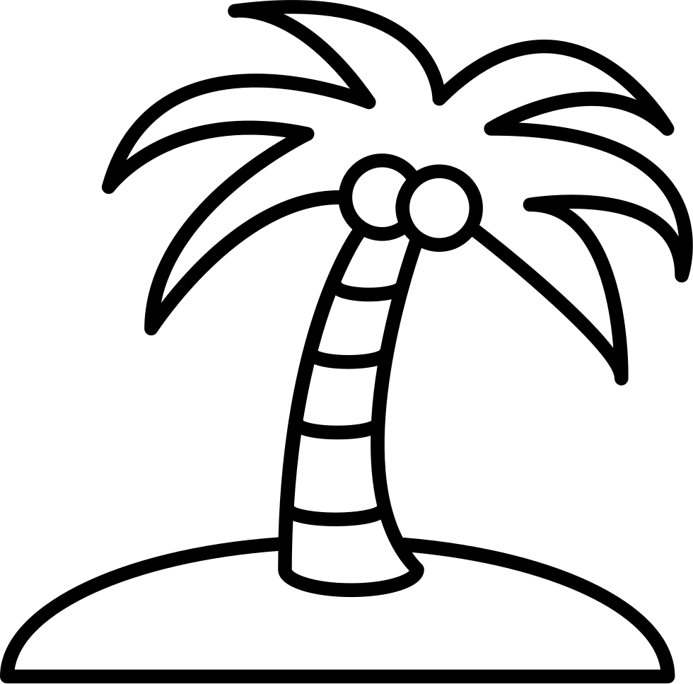 Coconut Tree Drawing Sketch