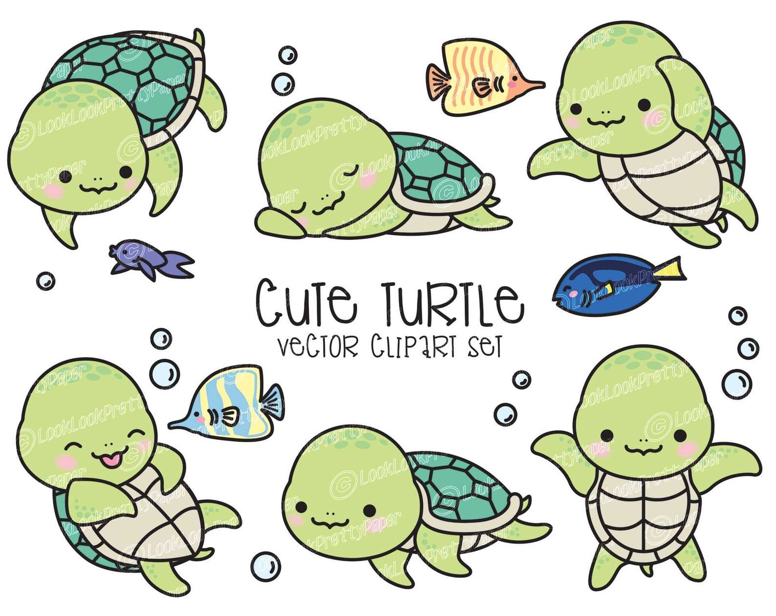 Cute Turtle Best Drawing