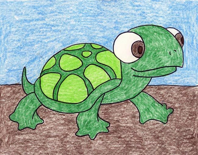 Cute Turtle Drawing Amazing