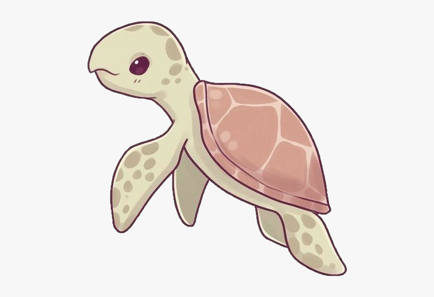 Cute Turtle Drawing Beautiful Art