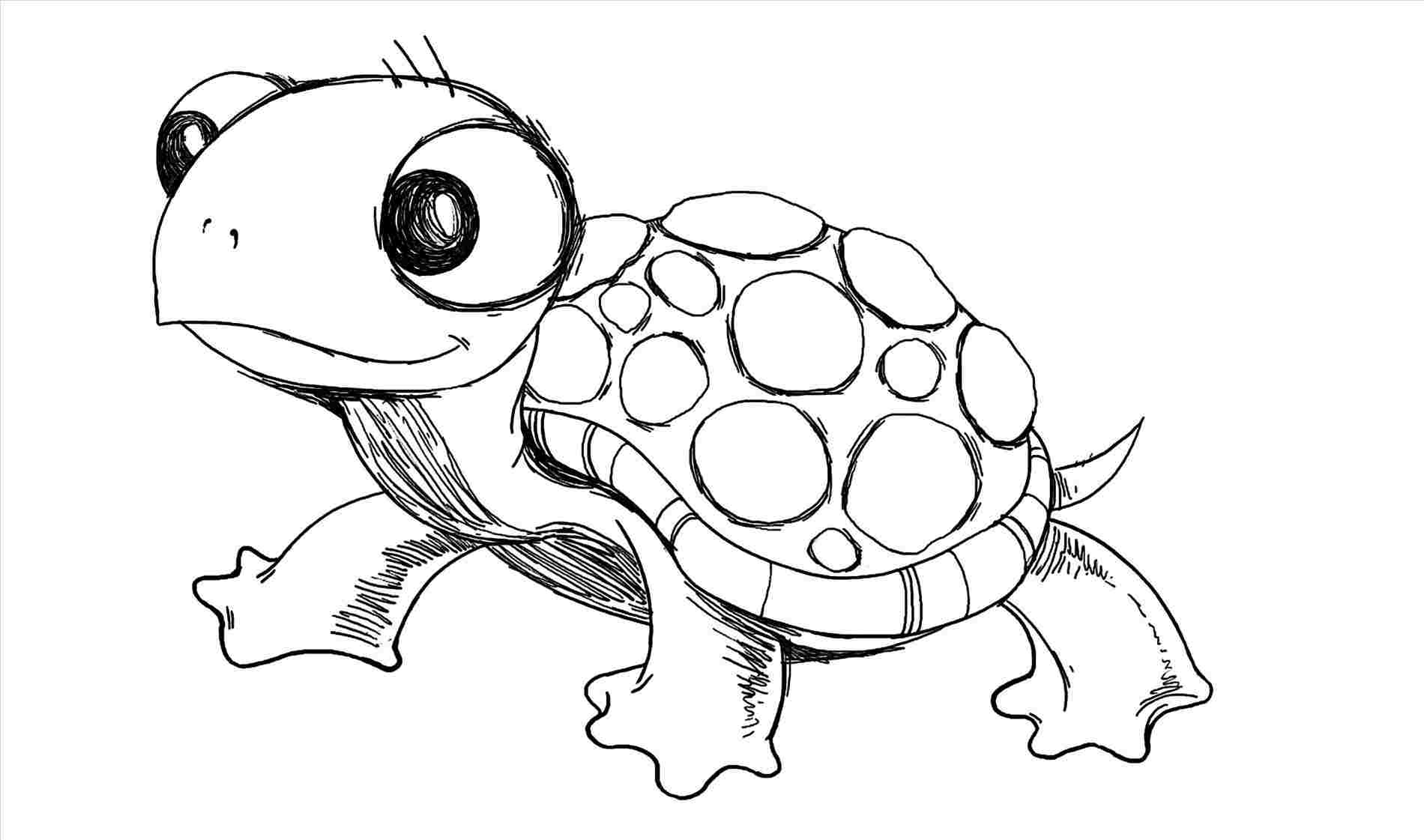 Cute Turtle Drawing Beautiful Image