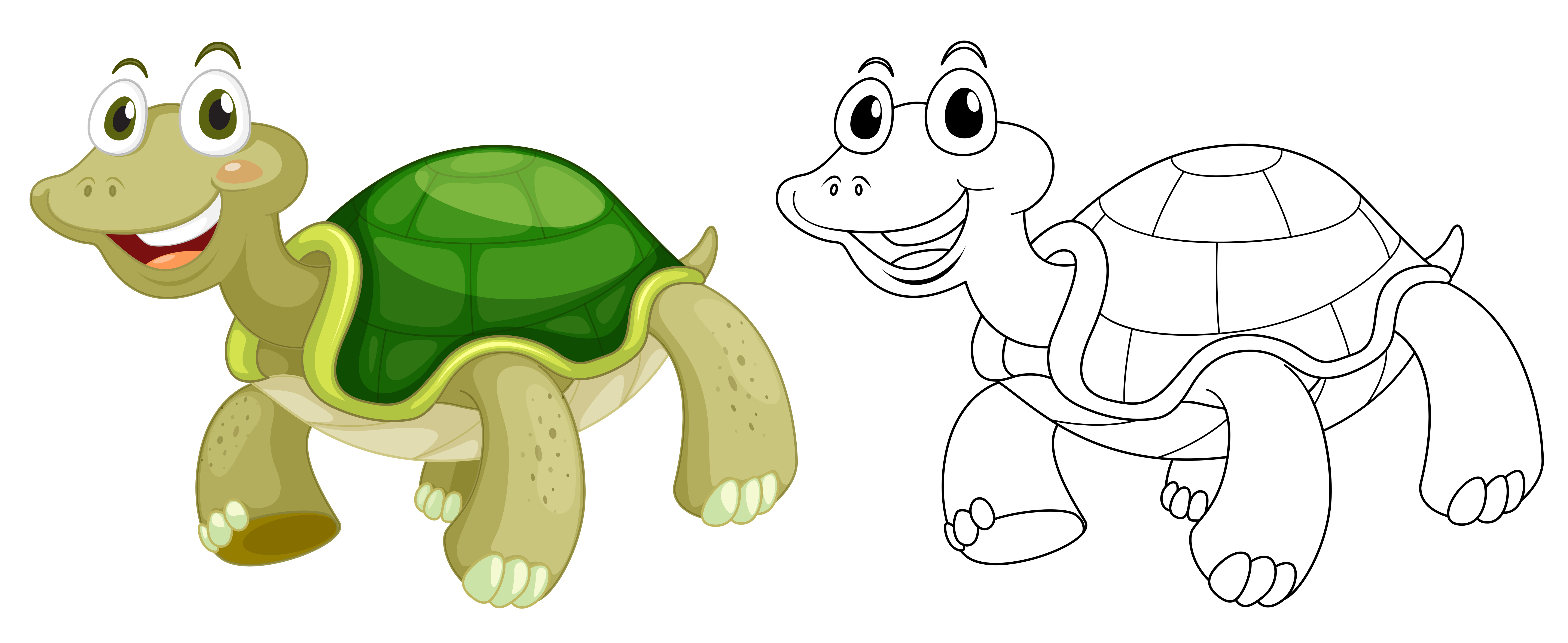 Cute Turtle Drawing Pic