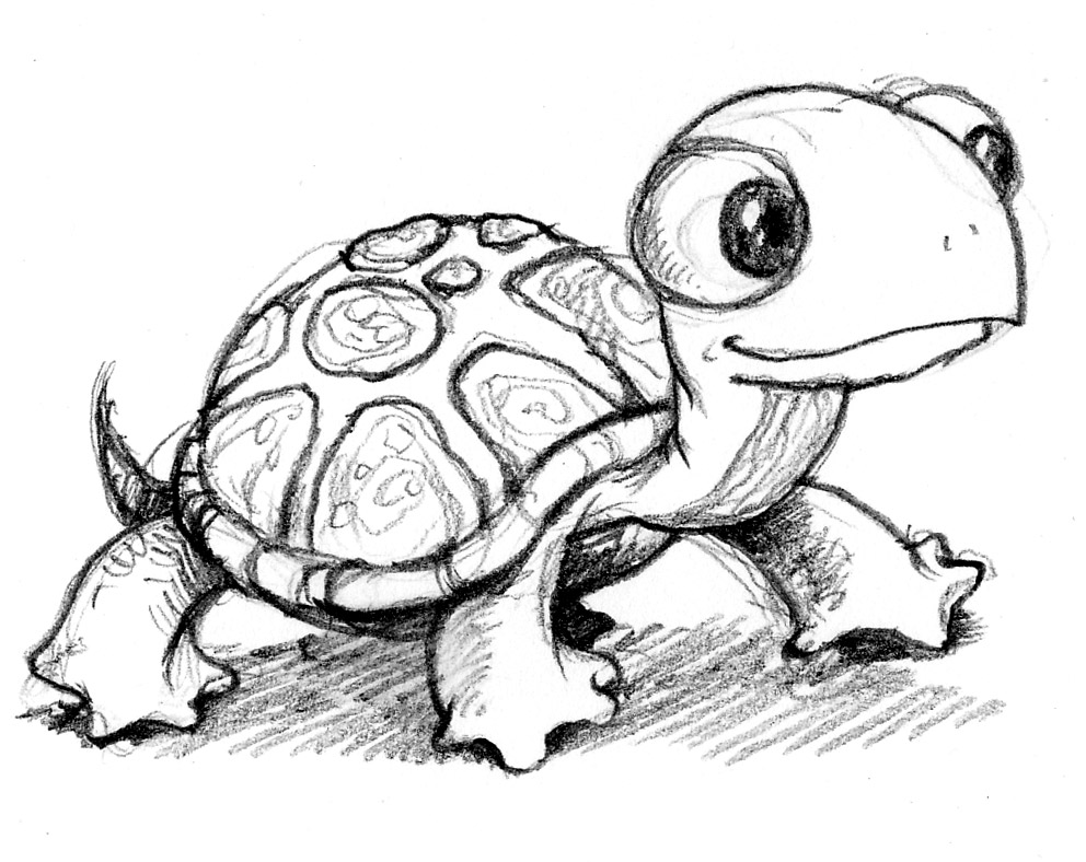 Cute Turtle Drawing Picture