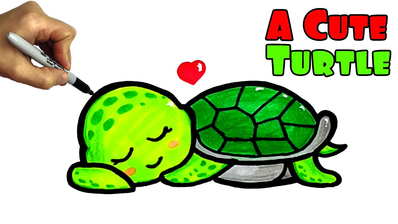 Cute Turtle Drawing Realistic