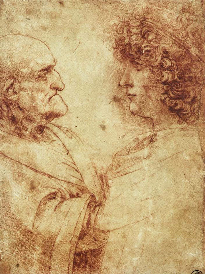 Da Vinci Man Drawing Image