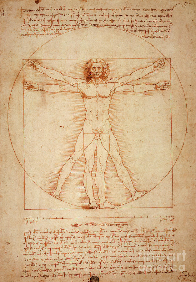 Da Vinci Man Drawing Photo