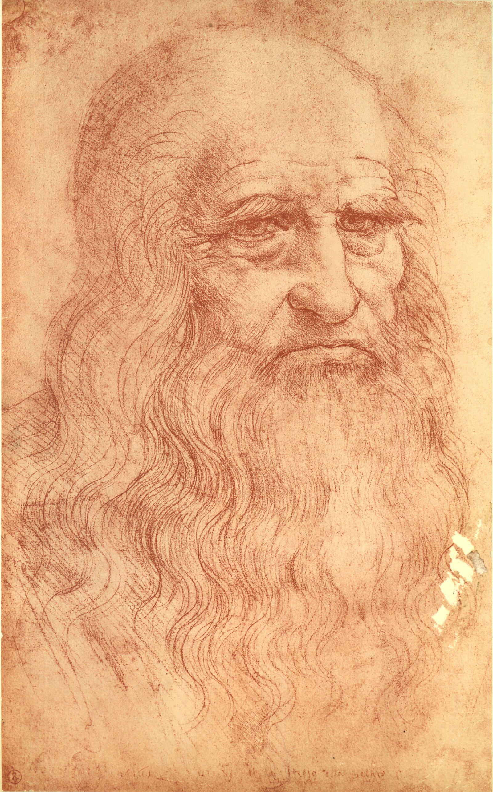 Da Vinci Man Drawing Picture