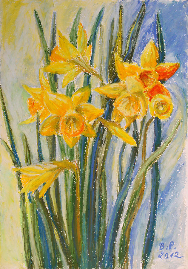 Daffodils Drawing Images