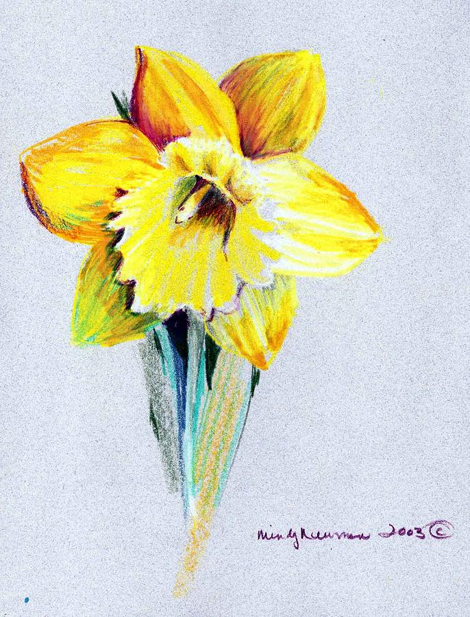 Daffodils Drawing Realistic