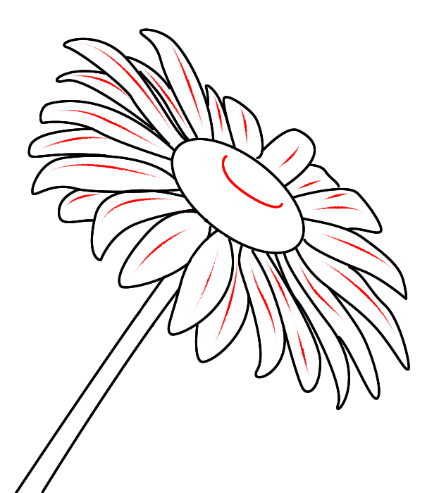 Daisy Flower Best Drawing