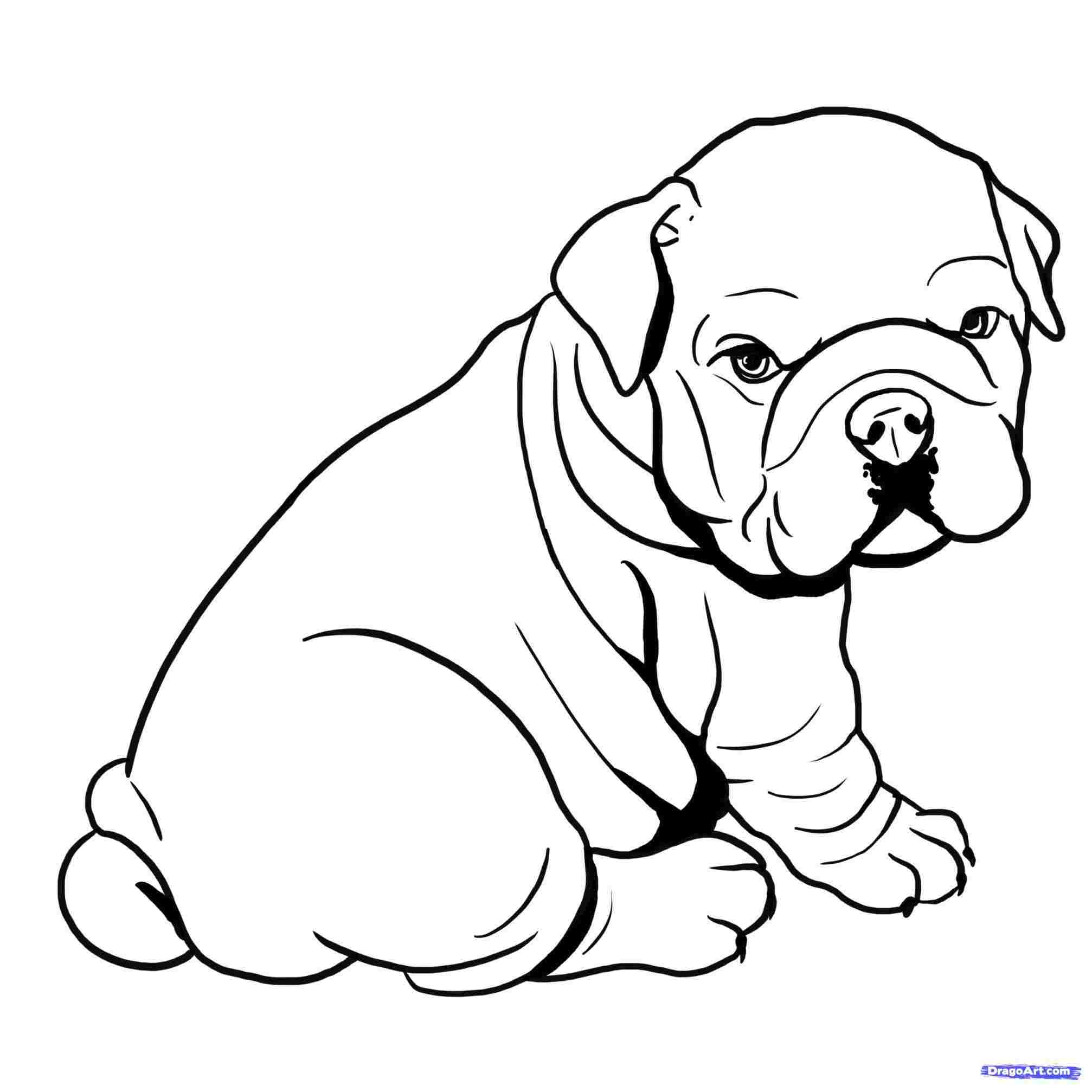 Dog Line Drawing Images