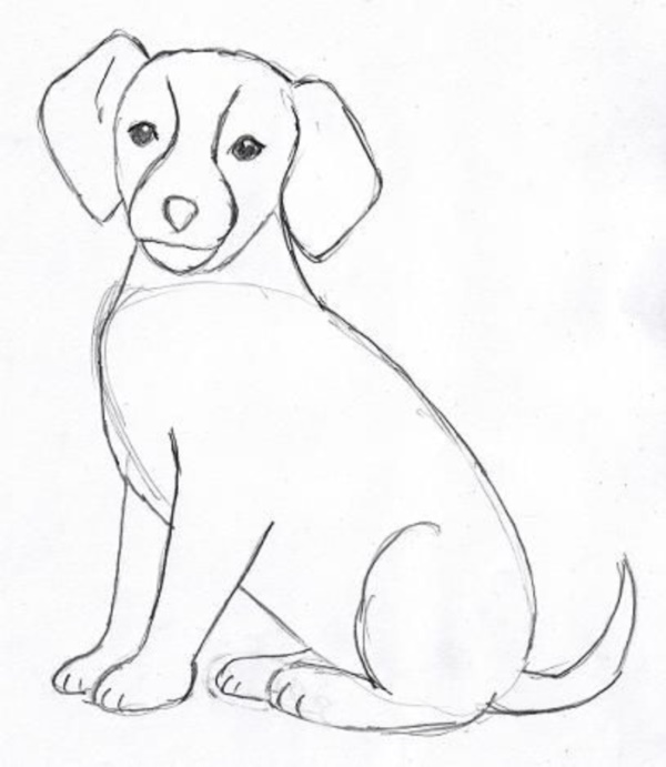 Dog Simple Drawing