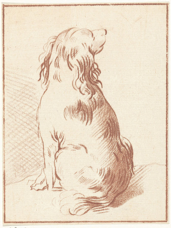 Dog Sitting Drawing Sketch