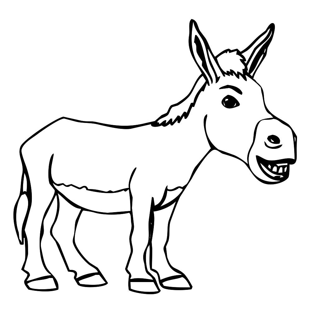 Donkey Drawing Pics
