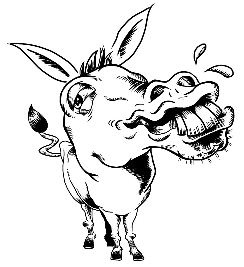 Donkey Drawing Realistic