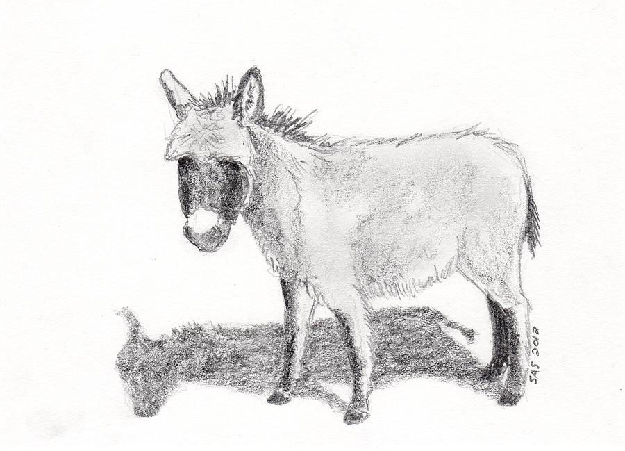 Donkey Drawing Sketch