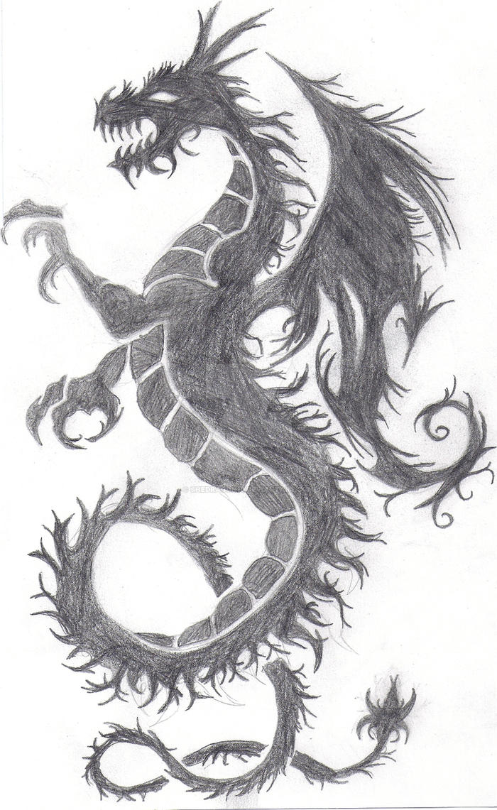 Dragon Tattoo Drawing Amazing