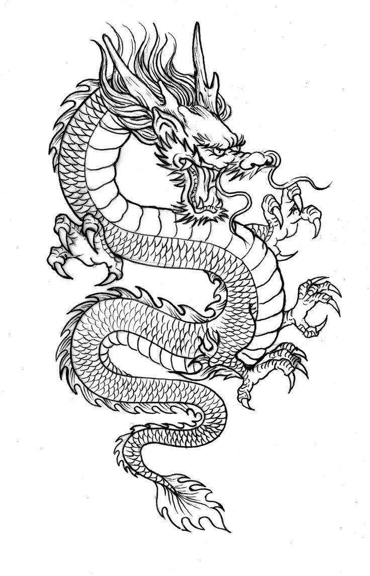 Dragon Tattoo Drawing Beautiful Image