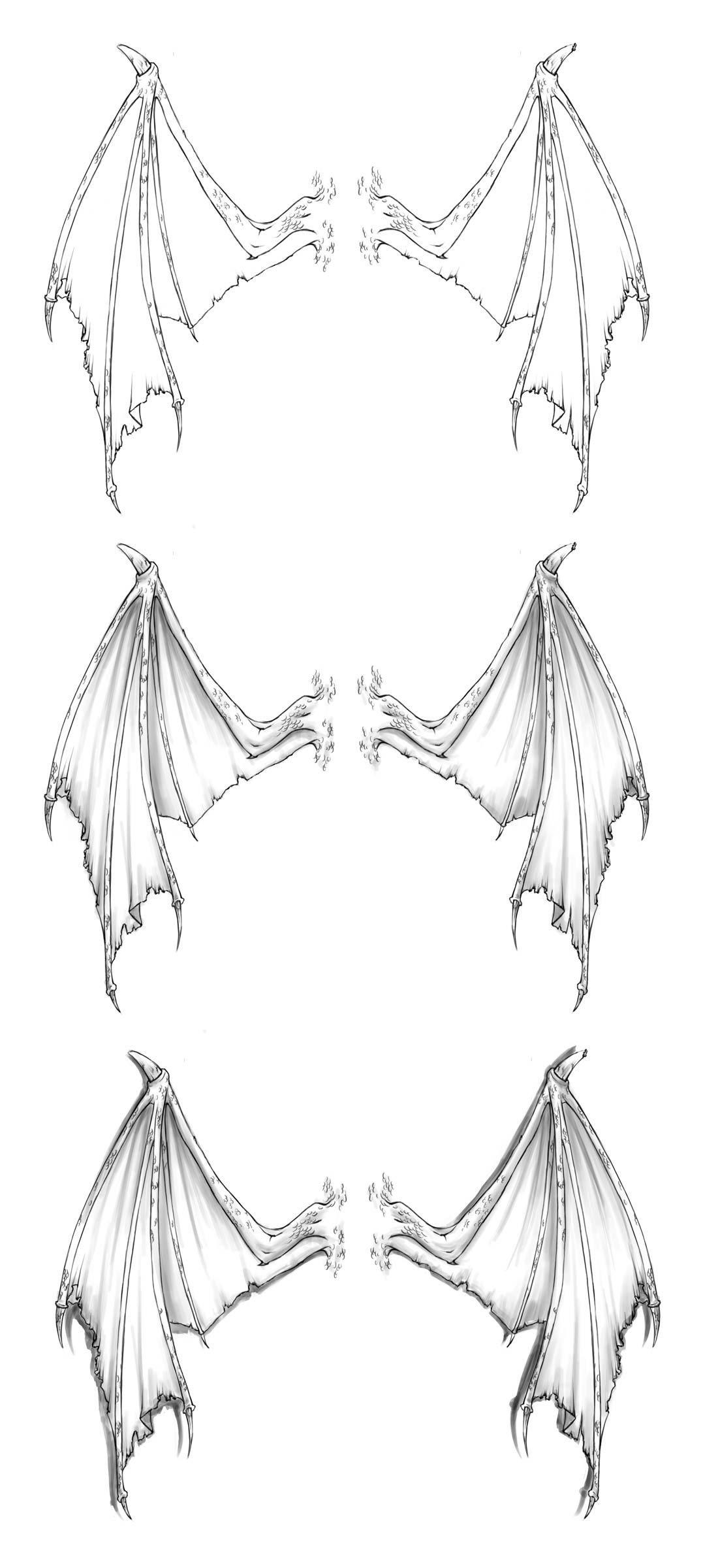 Dragon Wings Drawing Creative Art