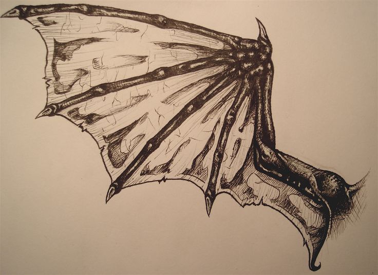 Dragon Wings Drawing Images