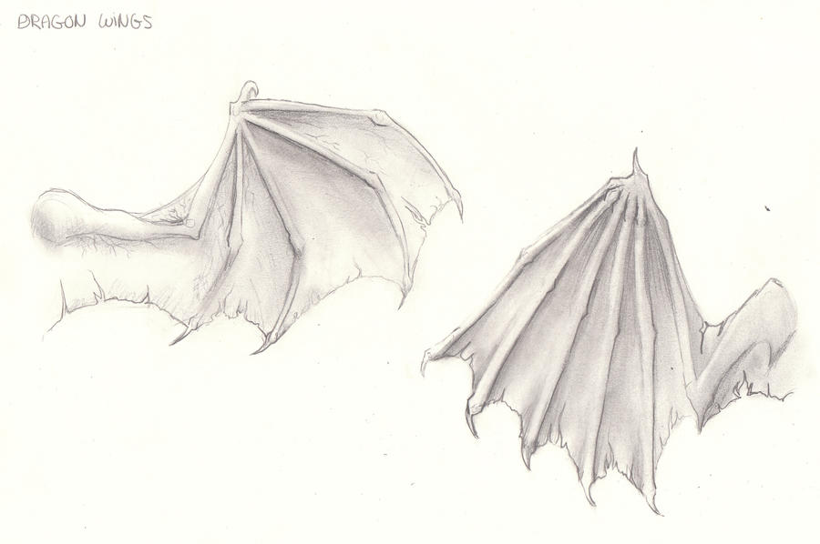 Dragon Wings Drawing Photo