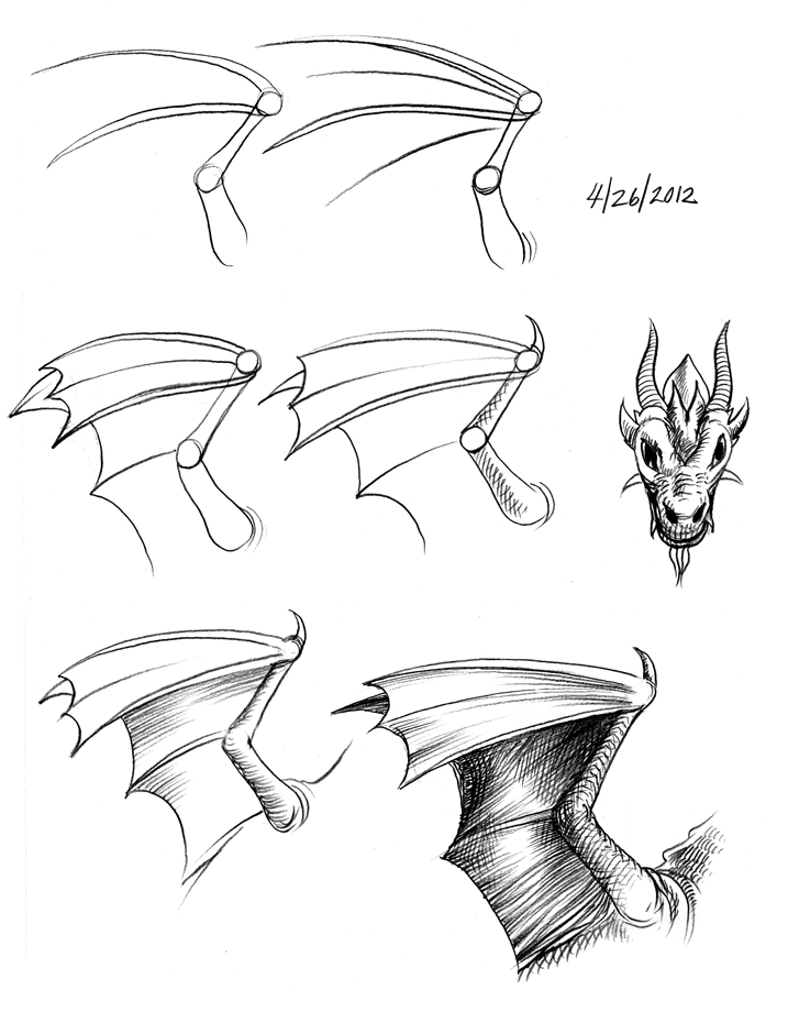 Dragon Wings Drawing Pictures