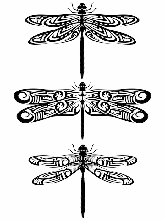 Dragonfly Tattoo Drawing Photo