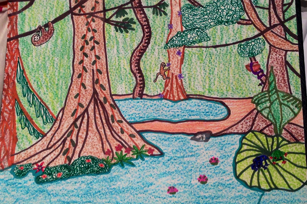 Ecosystem Drawing Picture